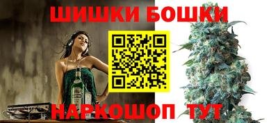 стаф Будённовск