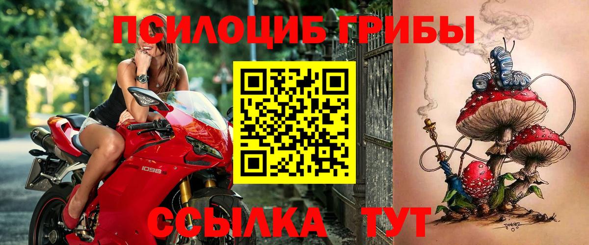 Галлюциногенные грибы GOLDEN TEACHER Энгельс