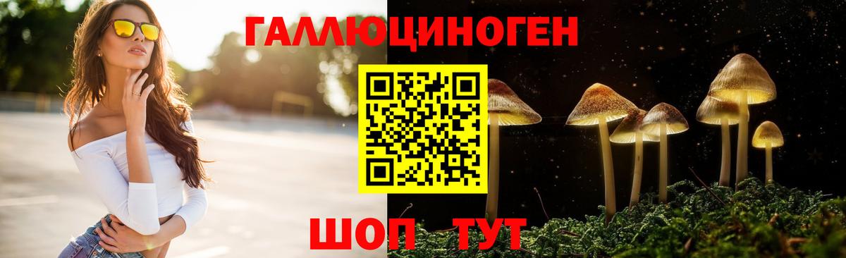 Энгельс  Псилоцибиновые грибы ЛСД  Вход с VPN 